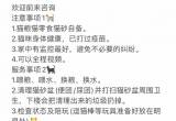 中秋国庆-节假日上门喂猫
