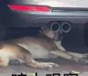 求购山地自行车
