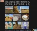自家五常稻花香大米，新米马上下来，迪友预定有优惠～