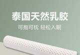 出泰国乳胶抱枕