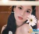 比亚迪秦 MAX 代言人：张婧仪！