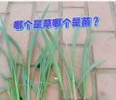 90后以后的人没几个能答出来吧