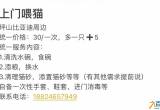 上门喂猫