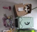 猫咪用品打包100