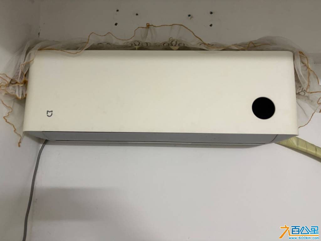 IMG_7750.jpeg