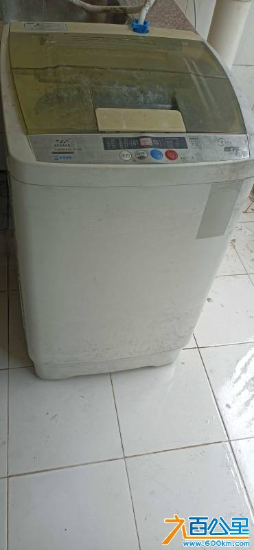 IMG_20260725_135341.jpg