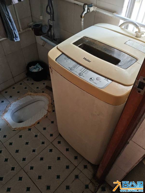 1785382217300.jpg