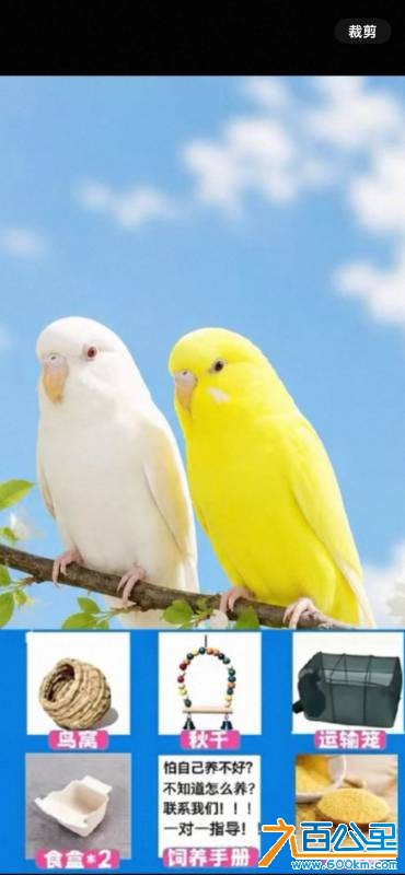 IMG_5868.png