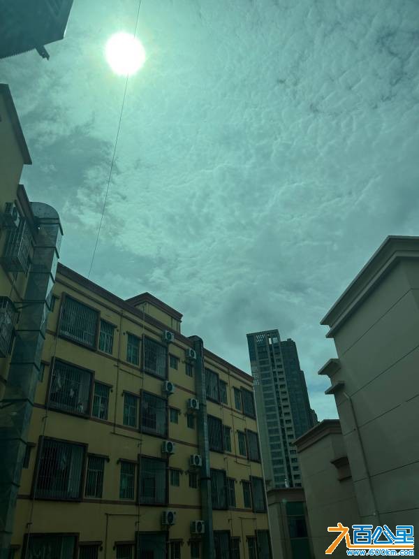 83E5FCA2-FF48-419C-AB8B-C0B77BB4E224.jpeg