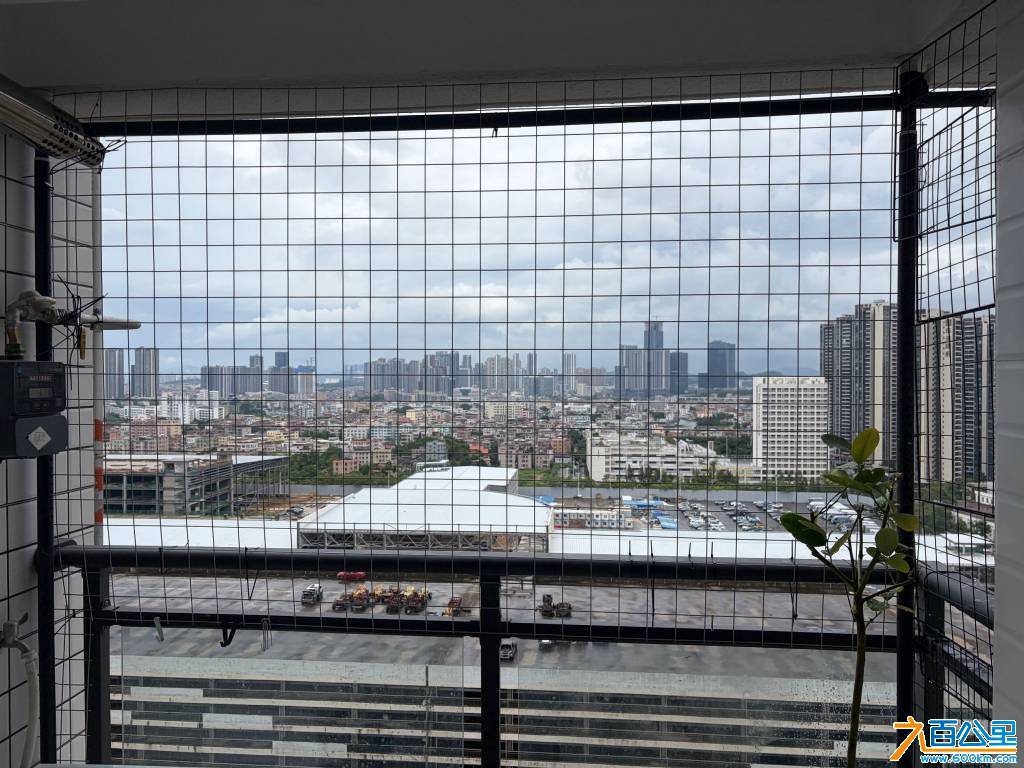 IMG_3522.jpeg
