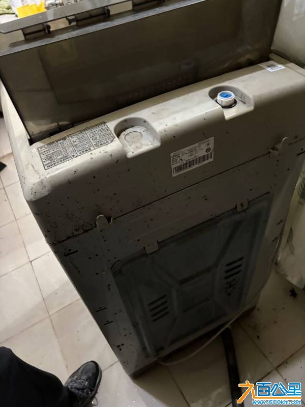 IMG_8696.jpeg