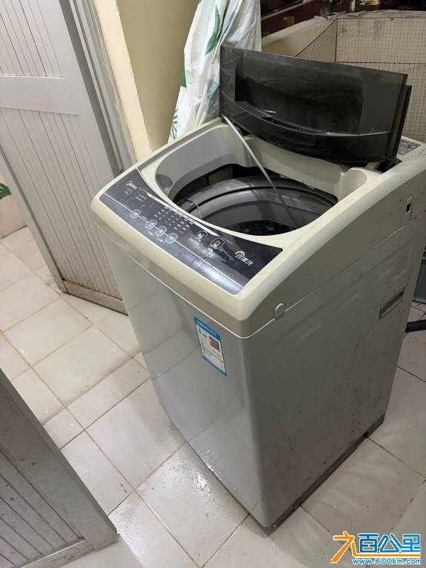 IMG_8694.jpeg