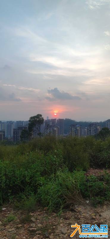 MVIMG_20260816_184159.jpg