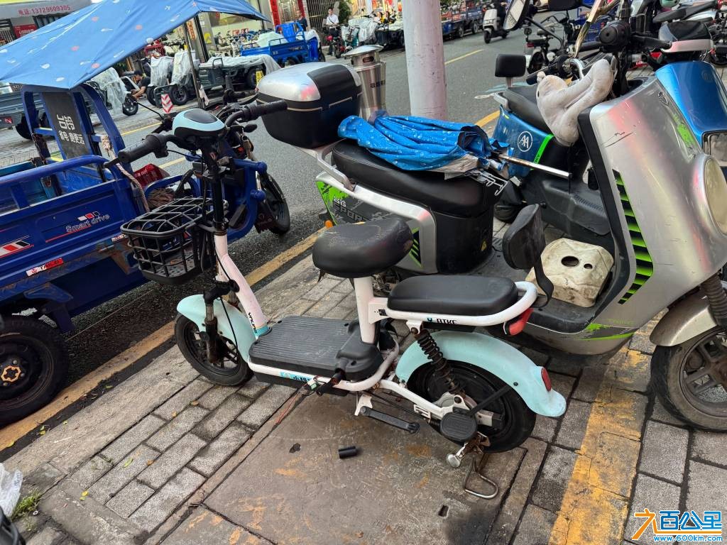 IMG_9656.jpeg