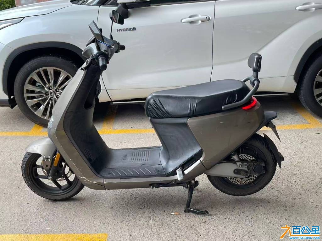 279.jpeg
