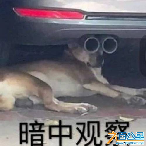 由手机上传