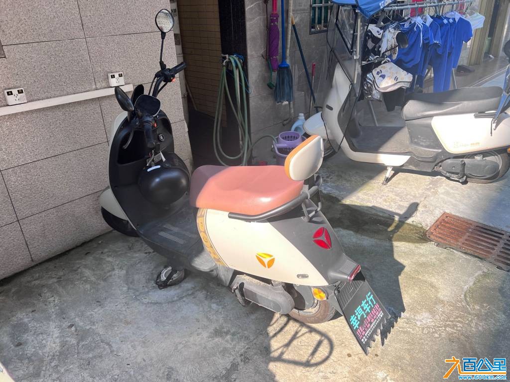 IMG_2567.jpeg