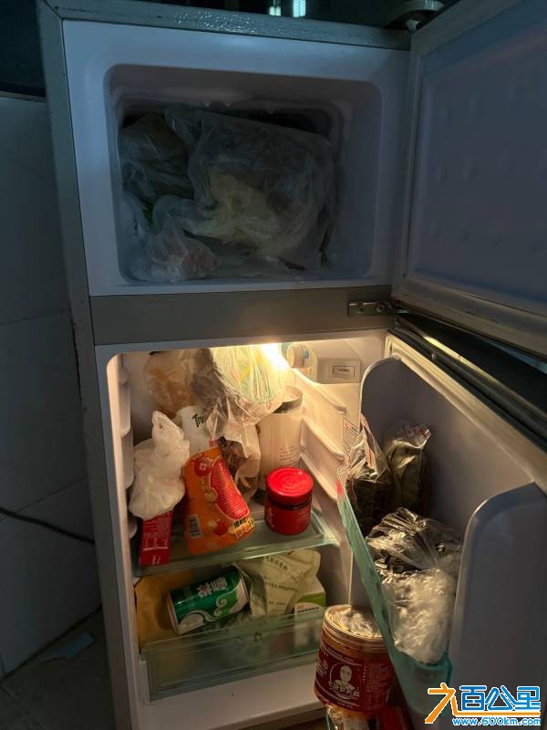 IMG_4966.jpeg
