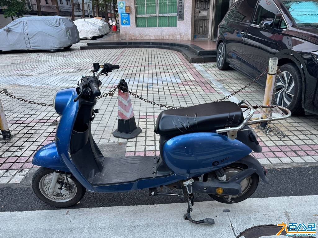 IMG_9999.jpeg