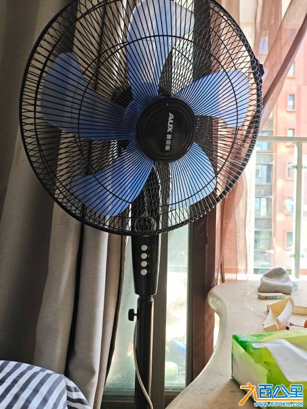 MVIMG_20261004_103120.jpg