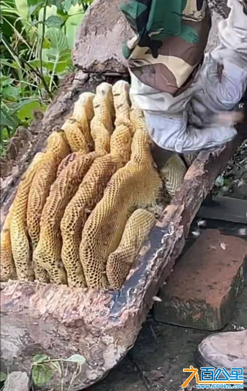由手机上传